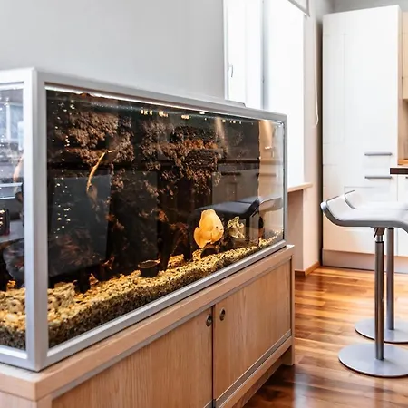 Airhome - Golden Fish Lägenhet Tallinn